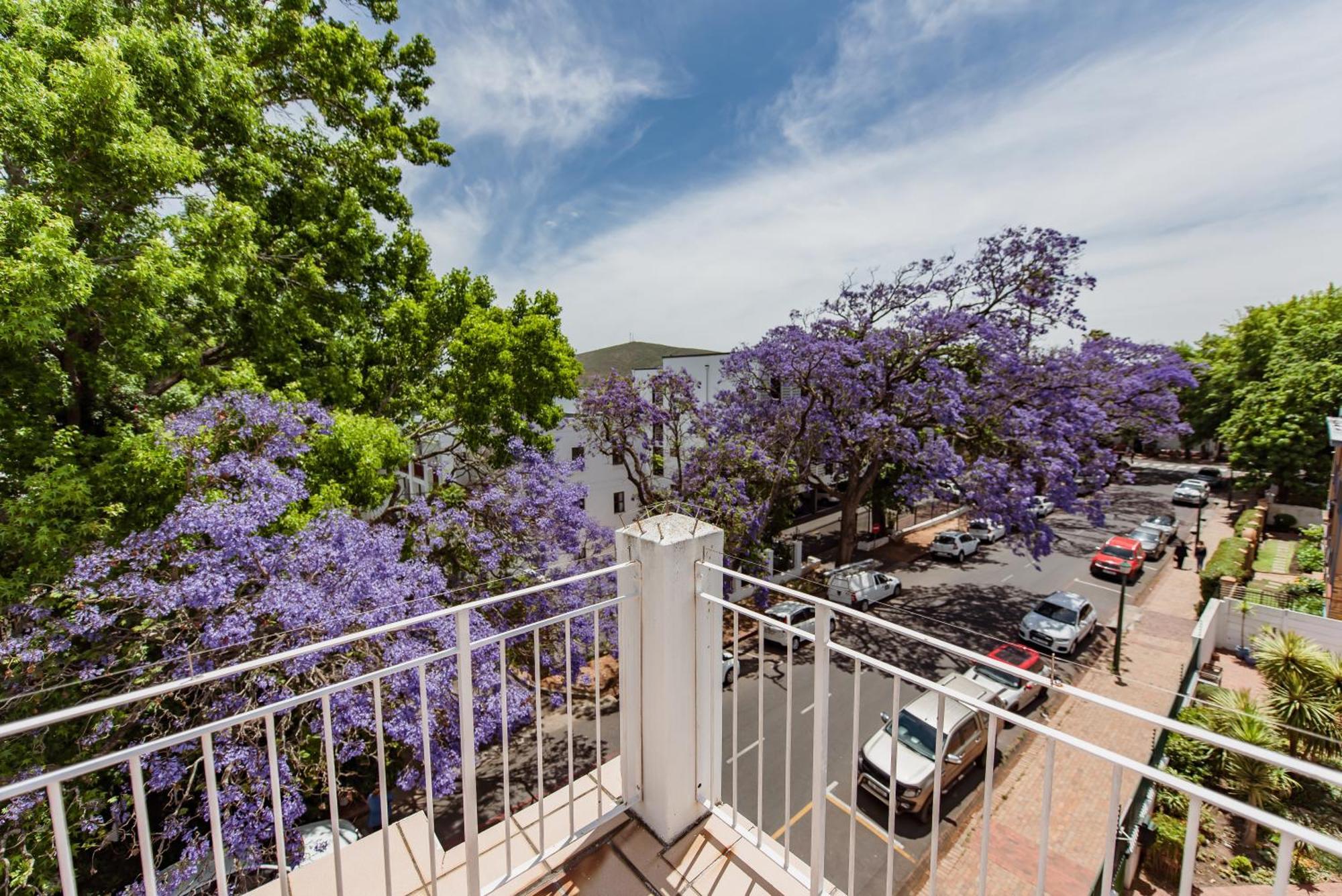 סטלנבוש Luxury Suite Near Church Street מראה חיצוני תמונה